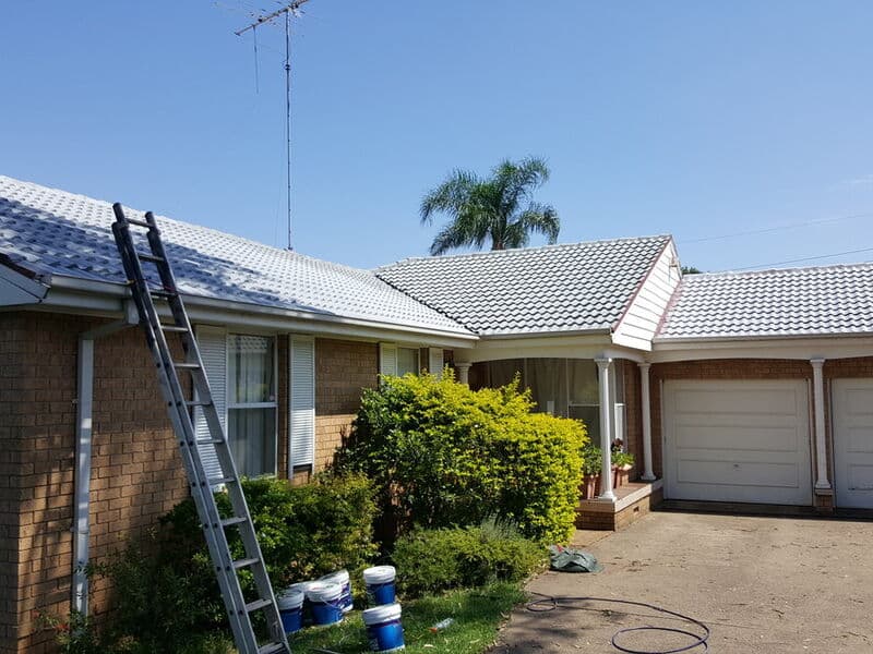 Roof before cleaning